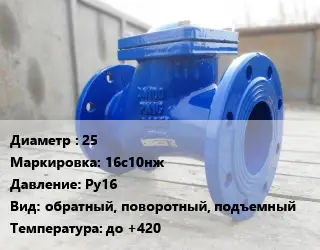 Клапан стальной 25 16с10нж Ру16 обратный, поворотный, подъемный до +420